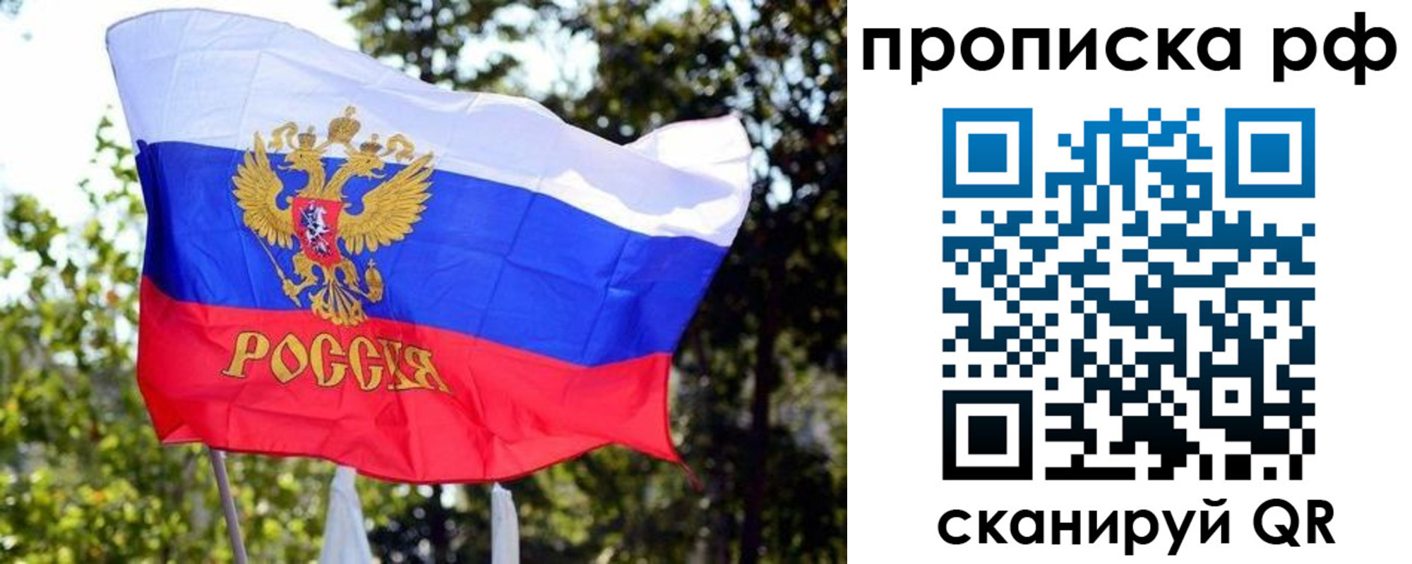 временная регистрация надежно в Видном